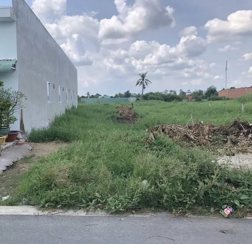 Bất động sản tại Long An - ảnh 1