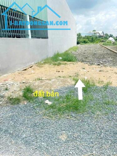 Bất động sản tại Long An - ảnh 1