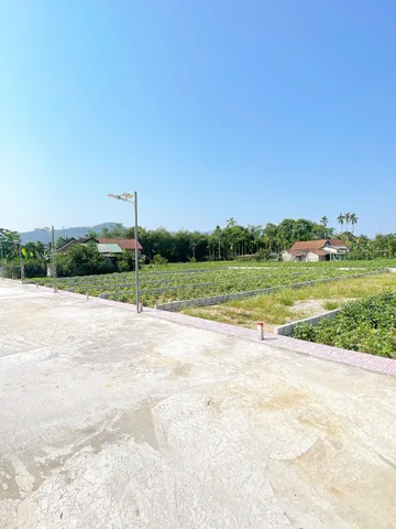 Bất động sản tại Thừa Thiên Huế - ảnh 1