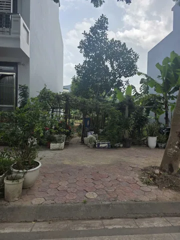 Bất động sản tại Hải Dương - ảnh 1