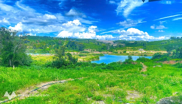 Bất động sản tại Lâm Đồng - ảnh 1