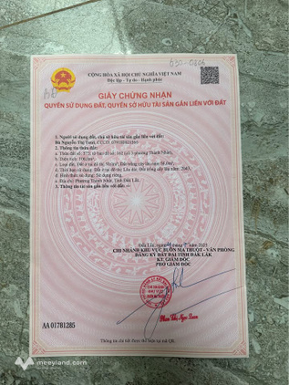 Bất động sản tại Đắk Lắk - ảnh 1