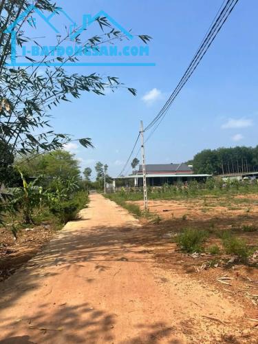 Bất động sản tại Bình Phước - ảnh 1