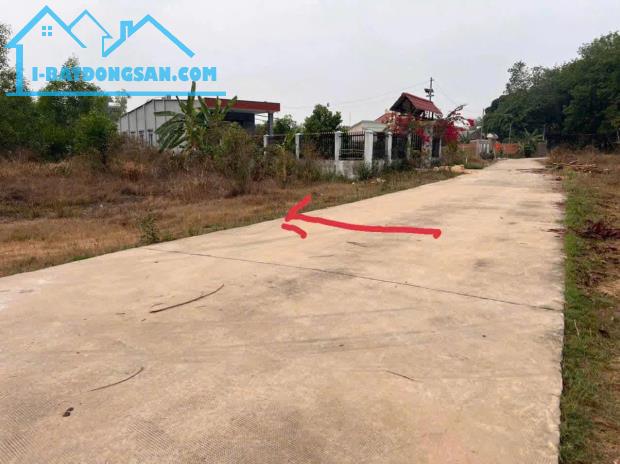 Bất động sản tại Bình Phước - ảnh 1
