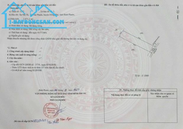 Bất động sản tại Bình Phước - ảnh 1