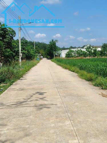 Bất động sản tại Bình Phước - ảnh 1