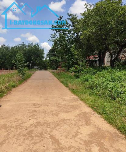 Bất động sản tại Bình Phước - ảnh 1