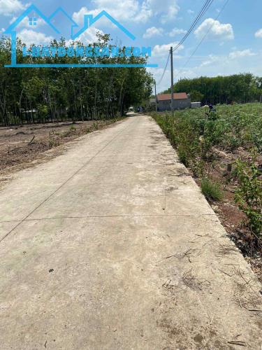 Bất động sản tại Bình Dương - ảnh 1