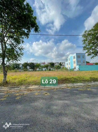 Bất động sản tại Long An - ảnh 1