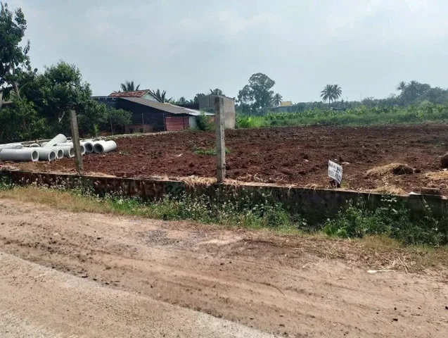 Bất động sản tại Đắk Lắk - ảnh 1