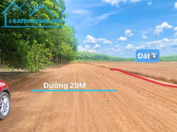 Bất động sản tại Bình Phước - ảnh 1