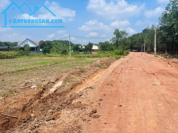 Bất động sản tại Bình Phước - ảnh 1