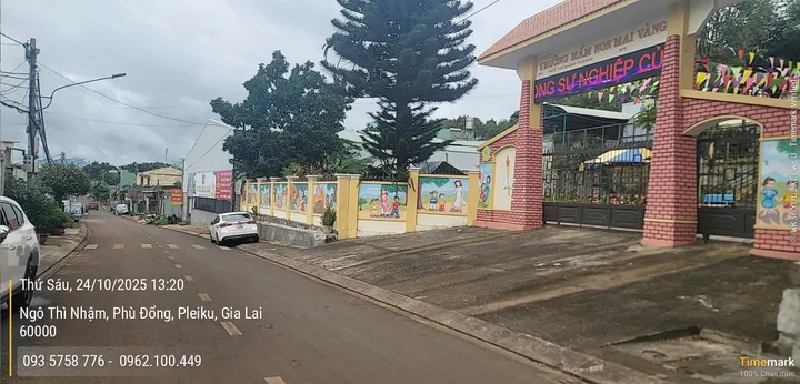Bất động sản tại Gia Lai - ảnh 1