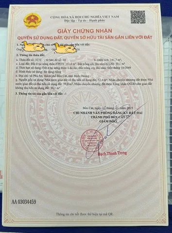 Bất động sản tại Bình Dương - ảnh 1