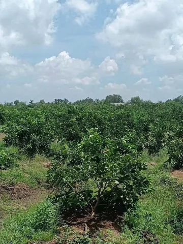 Bất động sản tại Tây Ninh - ảnh 1