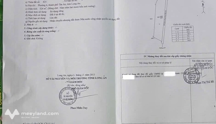 Bất động sản tại Long An - ảnh 1
