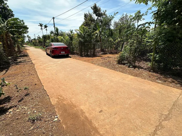 Bất động sản tại Đắk Lắk - ảnh 1