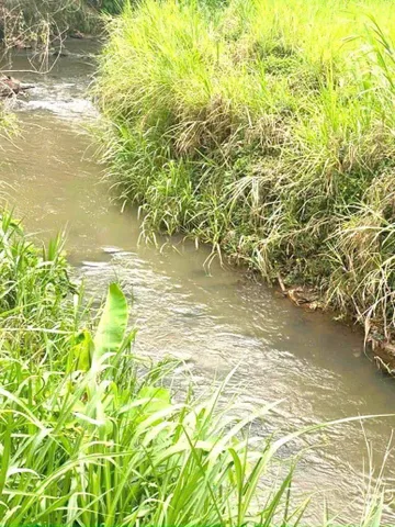 Bất động sản tại Đắk Lắk - ảnh 1