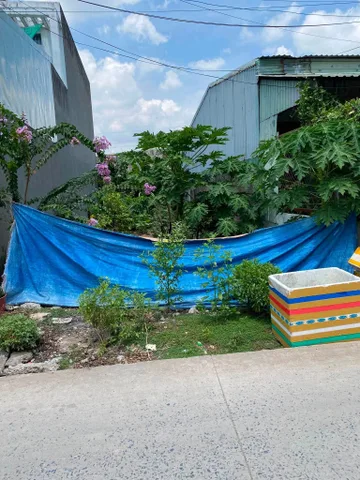 Bất động sản tại Tây Ninh - ảnh 1