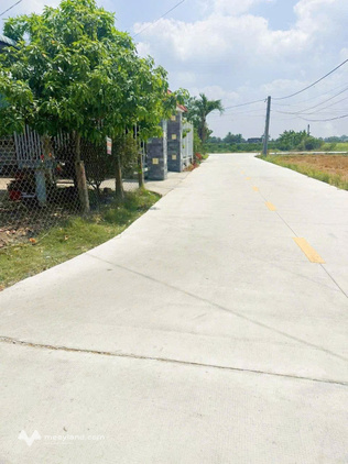Bất động sản tại Long An - ảnh 1