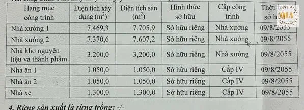 Bất động sản tại Bà Rịa - Vũng Tàu - ảnh 1