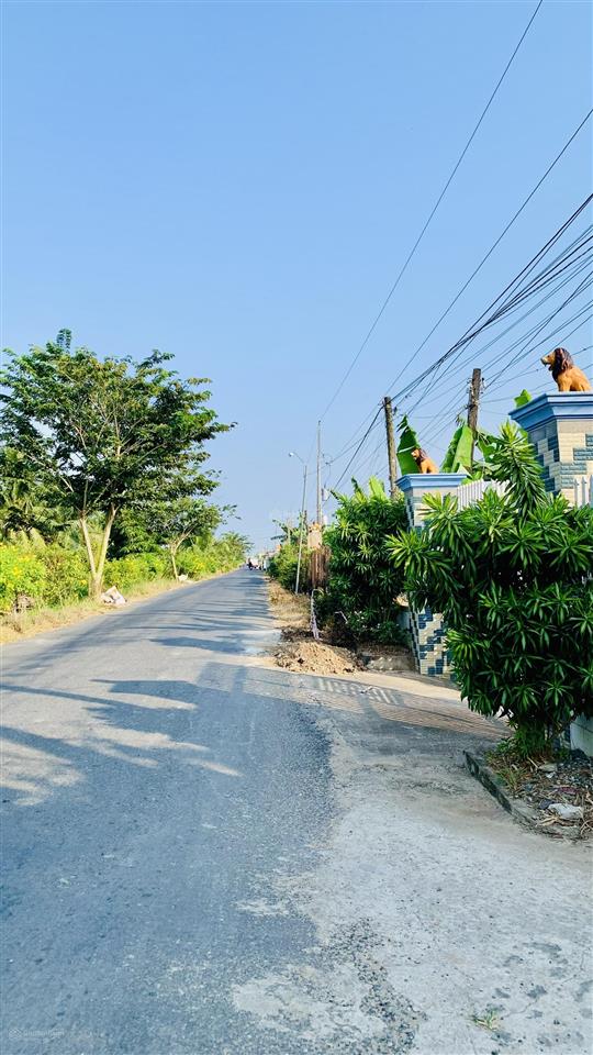 Bất động sản tại Long An - ảnh 1