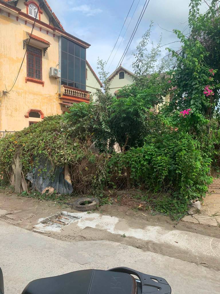 Bất động sản tại Hưng Yên - ảnh 1
