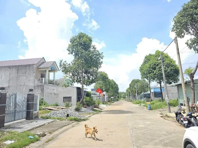 Bất động sản tại Bình Dương - ảnh 1