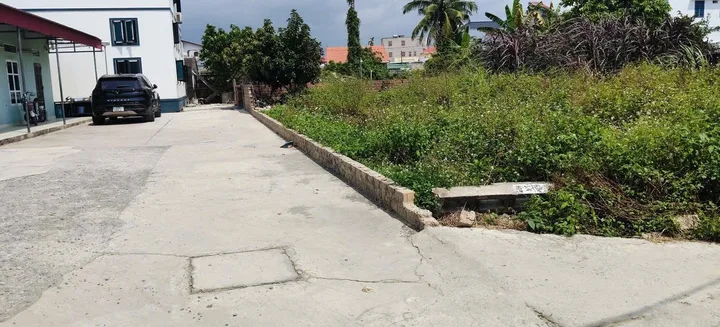 Bất động sản tại Hải Phòng - ảnh 1