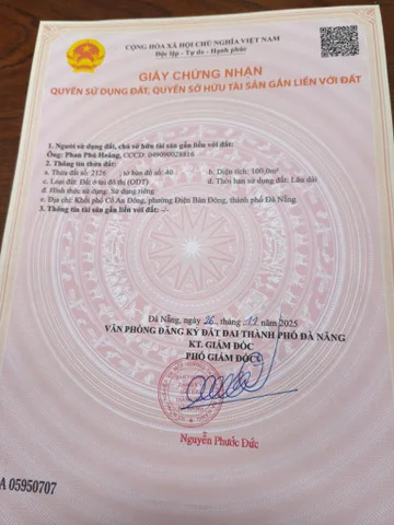 Bất động sản tại Đà Nẵng - ảnh 1
