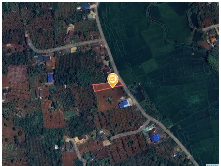 Bất động sản tại Đắk Lắk - ảnh 1