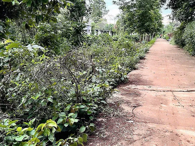 Bất động sản tại Đắk Lắk - ảnh 1