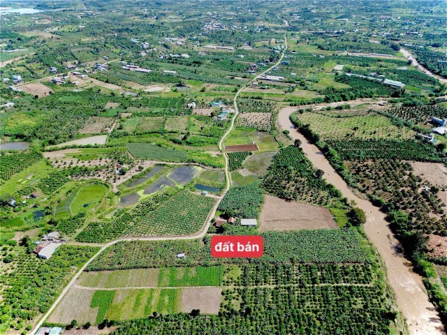 Bất động sản tại Đắk Lắk - ảnh 1