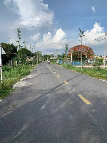 Bất động sản tại Long An - ảnh 1