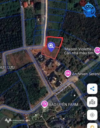 Bất động sản tại Lâm Đồng - ảnh 1