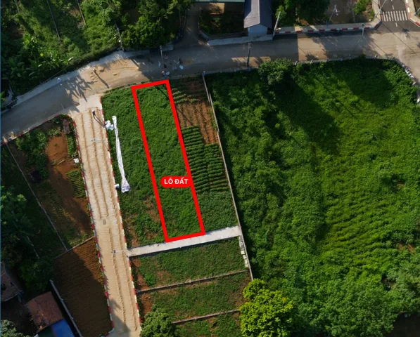 Bất động sản tại Phú Thọ - ảnh 1