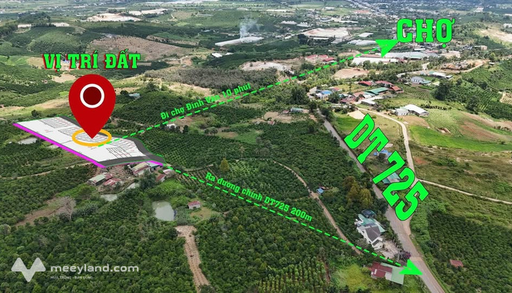Bất động sản tại Lâm Đồng - ảnh 1