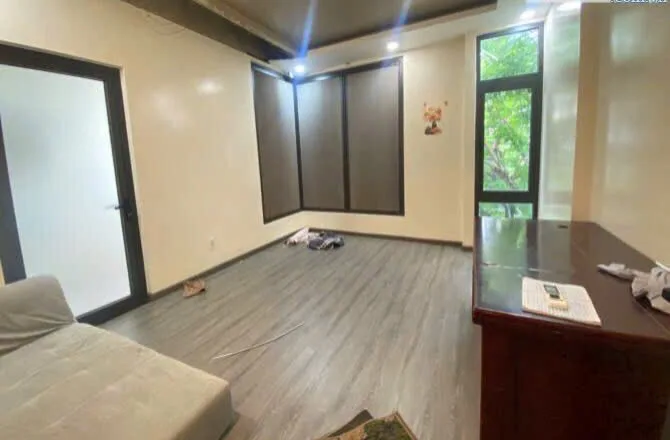 Bất động sản tại Đà Nẵng - ảnh 1