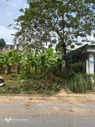 Bất động sản tại Yên Bái - ảnh 1