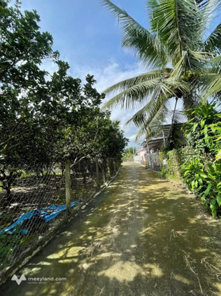 Bất động sản tại Khánh Hòa - ảnh 1
