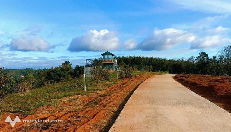 Bất động sản tại Đắk Nông - ảnh 1