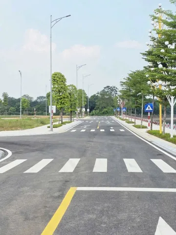 Bất động sản tại Phú Thọ - ảnh 1