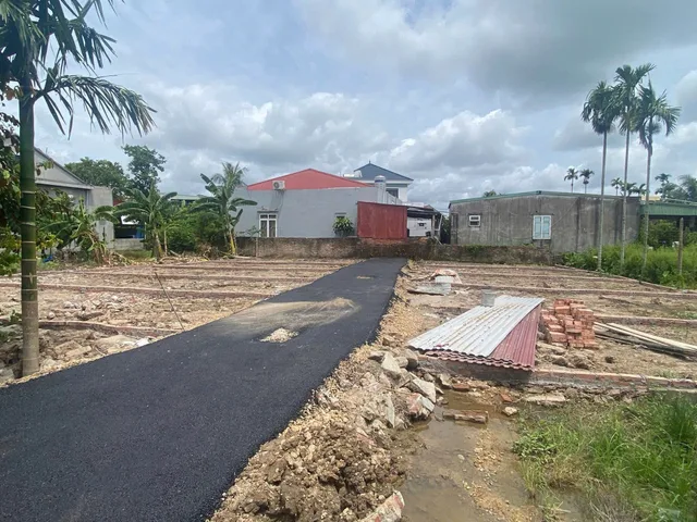Bất động sản tại Hải Phòng - ảnh 1