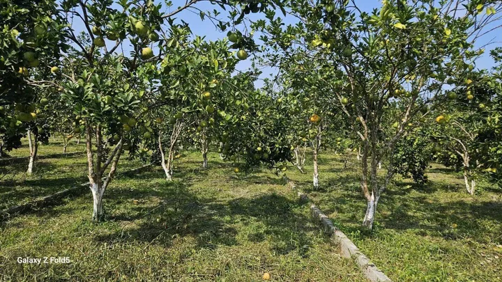 Bất động sản tại Hòa Bình - ảnh 1