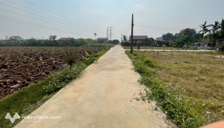 Bất động sản tại Nam Định - ảnh 1
