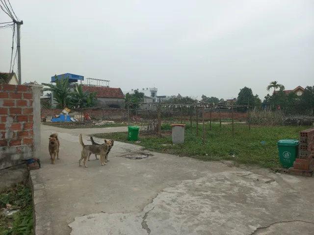 Bất động sản tại Hải Phòng - ảnh 1
