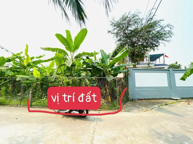 Bất động sản tại Hải Phòng - ảnh 1