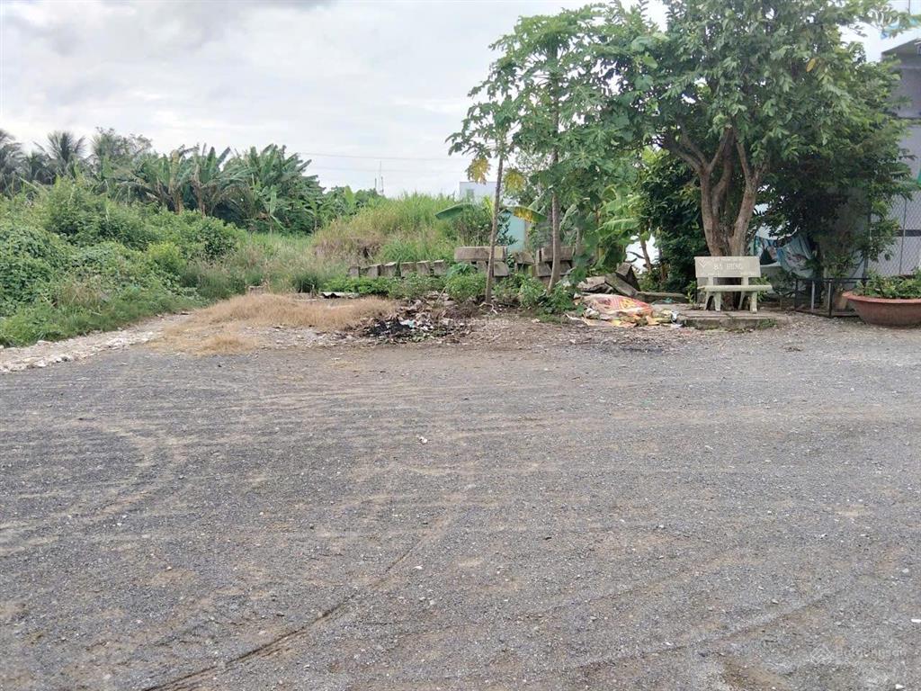 Bất động sản tại Long An - ảnh 1