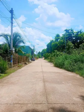 Bất động sản tại Bình Dương - ảnh 1