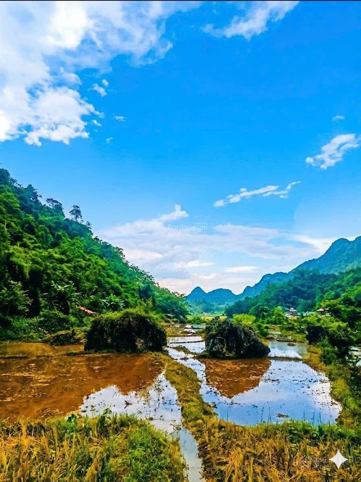 Bất động sản tại Hòa Bình - ảnh 1